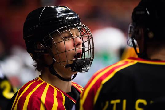 Brynäs Brynäs Adam Boqvist