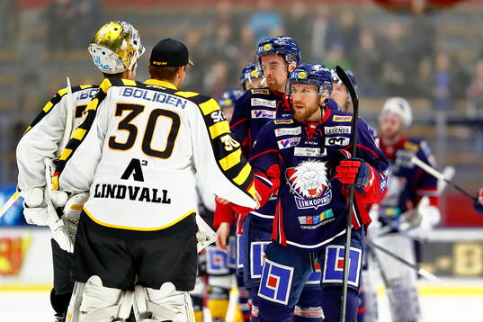 Linköpings Derek Roytackar Skellefteås målvakt Gustaf