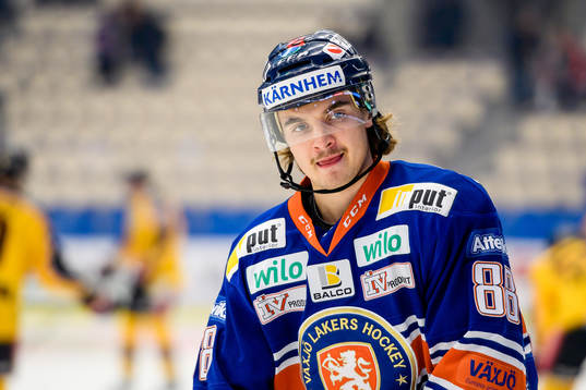 Växjös Adam Brodecki