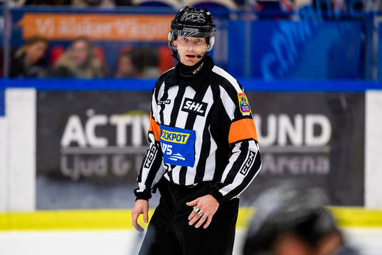 Domare Mikael Andersson
