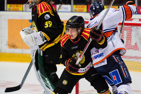 Brynäs Henrik Larsson