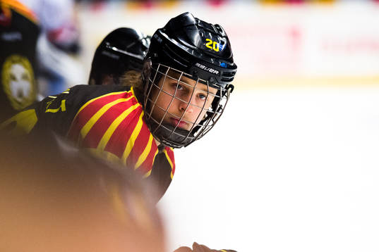 Brynäs Marcus Westfält