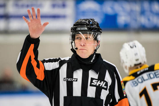 Domare Morgan Johansson