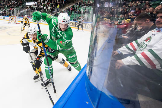 Rögles Bryan Lerg och Skellefteås Andreas Wingerli