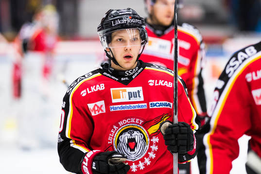 under ishockeymatchen i SHL mellan Luleå och Linköping
