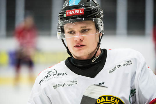 Dalens Johan Larsson