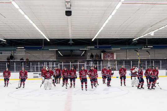 Helsingborgs spelare