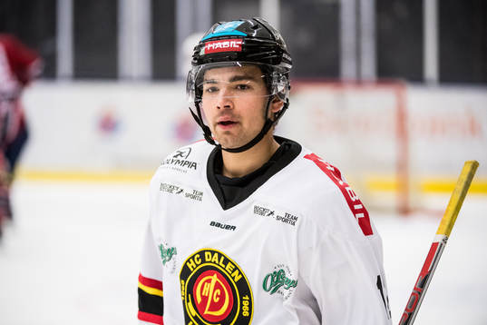 Dalens Dennis Santesson