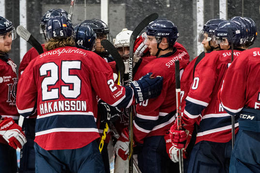 Helsingborgs spelare jublar med målvakt Arvid Stenmark