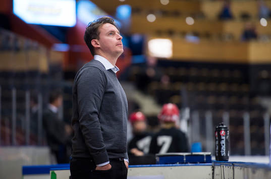Vita Hästens assisterande tränare Fredrik Eriksson