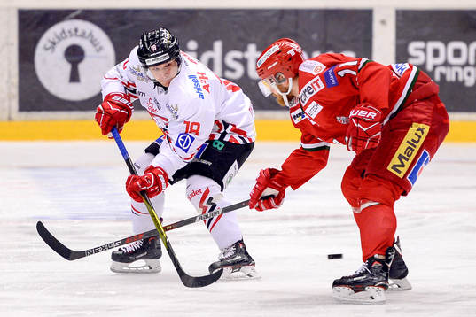 Bläddra bland fler bilder av Ishockey, Hockeyallsvenskan, Modo - Vita Hästen