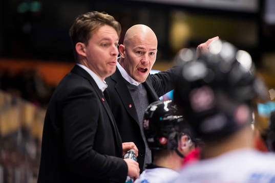 Vita Hästens assisterande tränare Fredrik Eriksson och