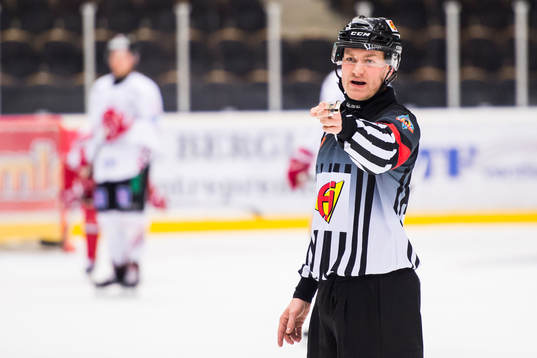 Domare Daniel Eriksson