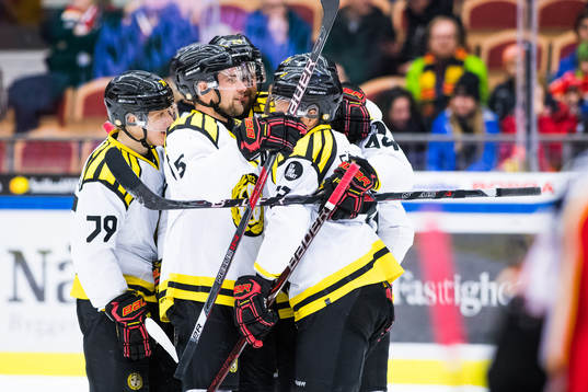 Brynäs jublar