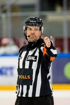 Domare Patrik Sjöberg