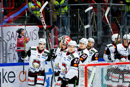 Malmö Redhawks spelarna jublar framför fansen