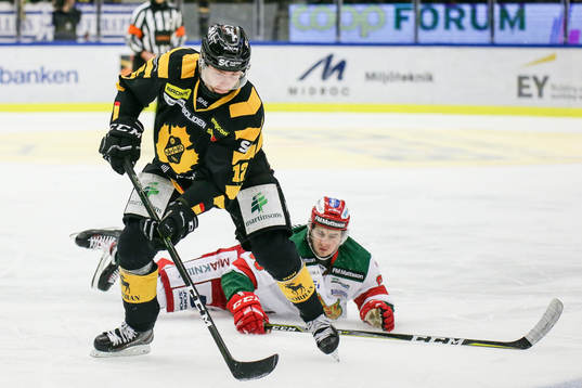 Skellefteås Adam Pettersson