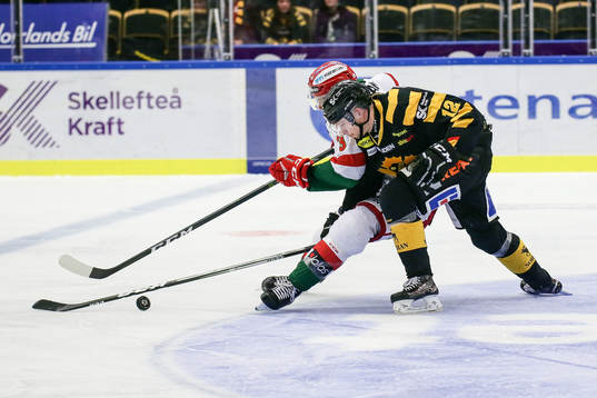 Skellefteås Adam Pettersson