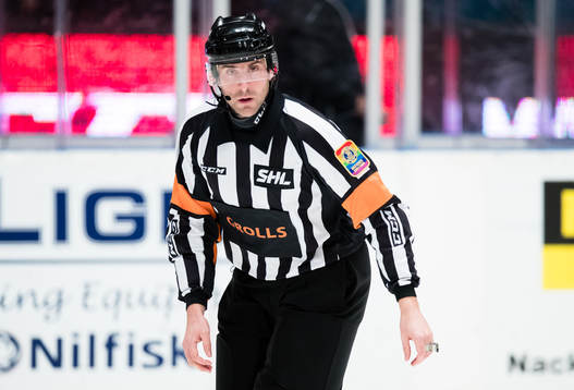Domare Mikael Sjöqvist