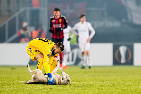 Bläddra bland fler bilder av Football, Europa League, FK Vardar - Rosenborg