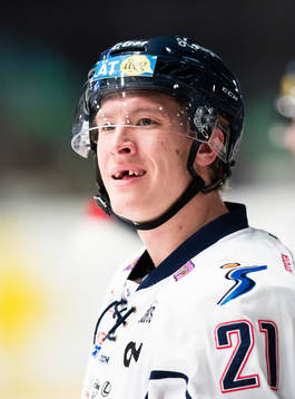 Emil Sylvegård