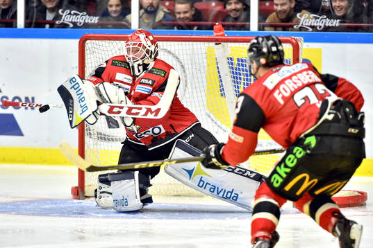 Malmö Redhawks målvakt Jonas Gunnarsson