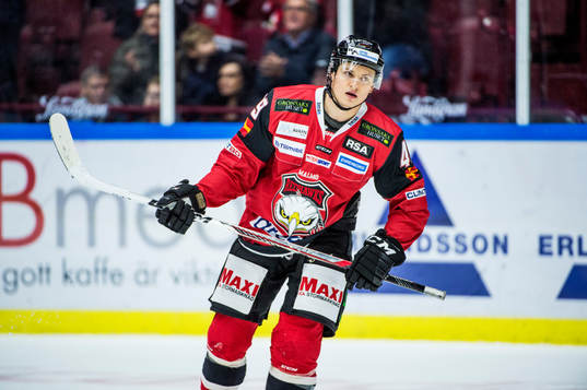 Malmö Redhawks Rhett Rakhshani jublar