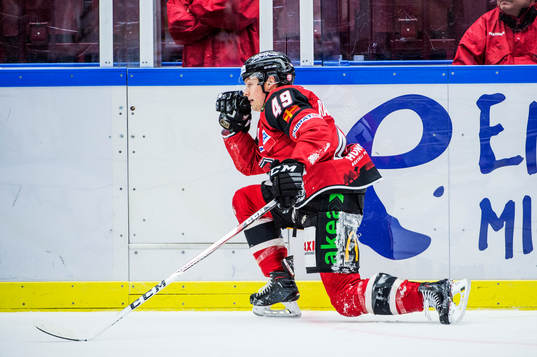 Malmö Redhawks Rhett Rakhshani på isen