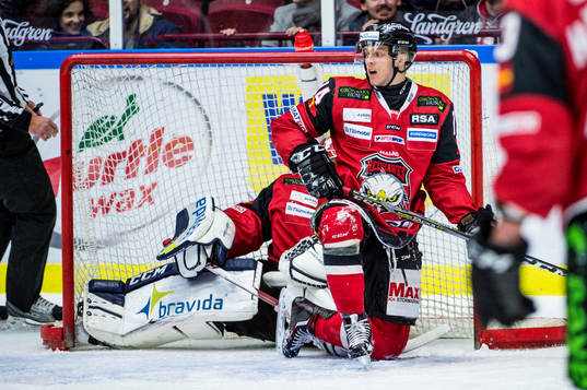 Malmö Redhawks Carl-Johan Lerby deppar