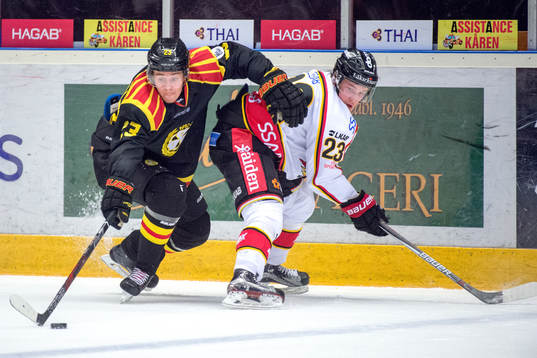Bläddra bland fler bilder av Ishockey, SHL, Brynäs - Luleå