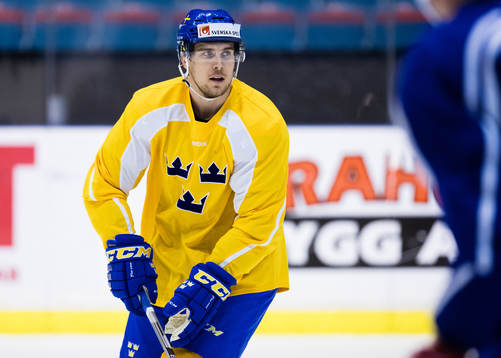 Sveriges Henrik Tömmernes