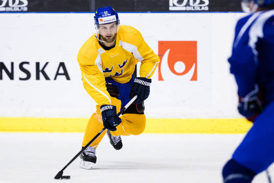 Sveriges Fredrik Pettersson