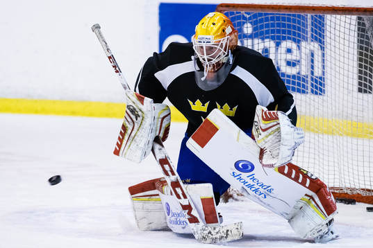Sveriges målvakt Magnus Hellberg