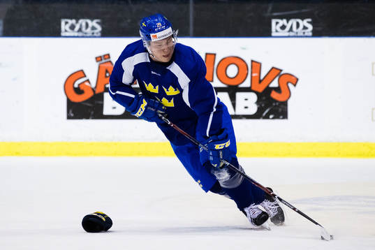 Sveriges Erik Gustafsson