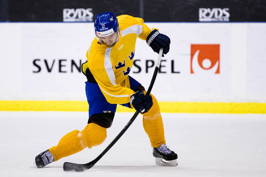 Sveriges Fredrik Pettersson