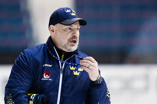 Sveriges förbundskapten Rikard Grönborg