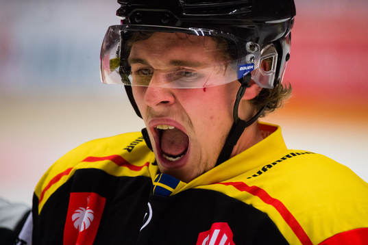 Lucas Carlsson of Brynäs in pain