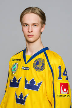 Elias Pettersson