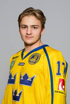 Erik Brännström