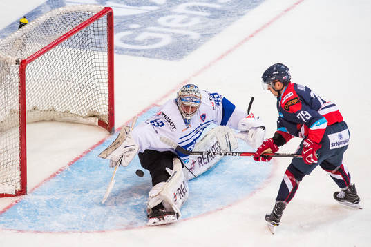 Goaltender Florian Hardy of France and Libor Hudacek of