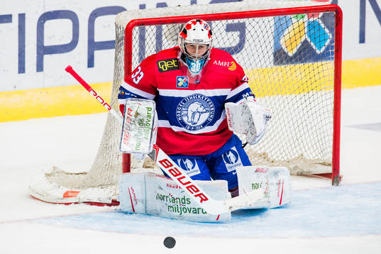 Goaltender Henrik Haukeland of Norway