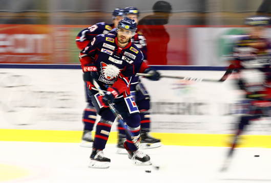 Linköpings Almen Bibic
