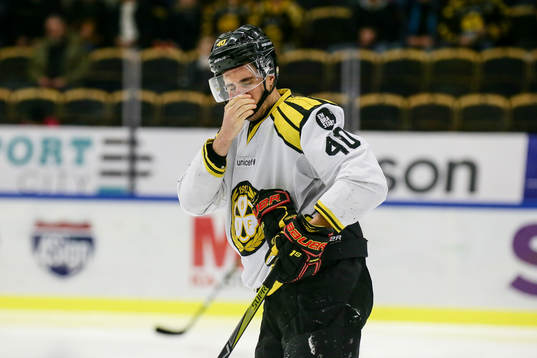 Brynäs Jesper Jensen