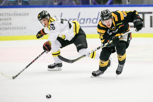 Skellefteås Jonathan Pudas