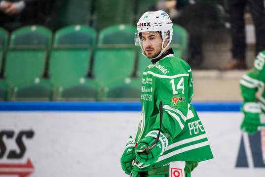 Rögles Stephen Perfetto