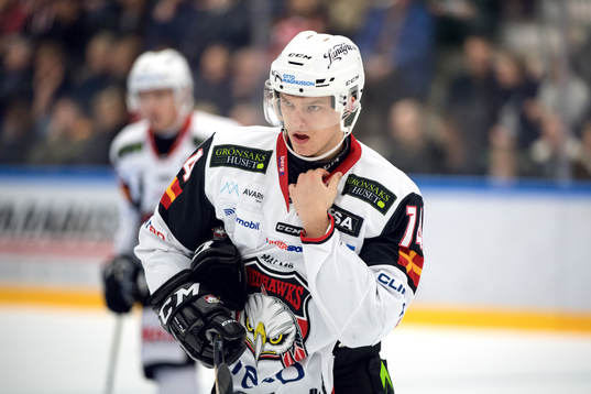 Malmö Redhawks Carl-Johan Lerby deppar