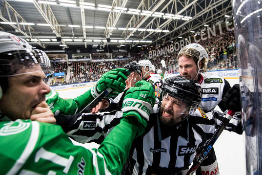 Bläddra bland fler bilder av Ishockey, SHL, Rögle - Malmö Redhawks
