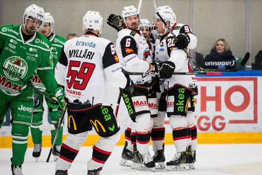 Malmö Redhawks spelare jublar