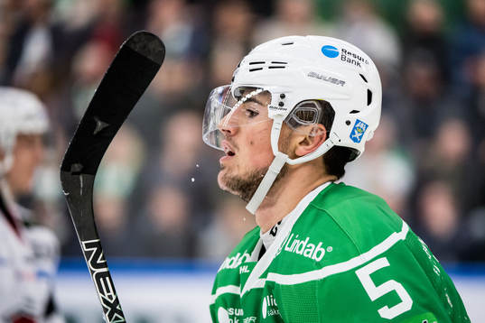 Rögles Alen Bibic