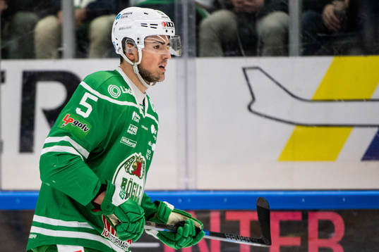 Rögles Alen Bibic